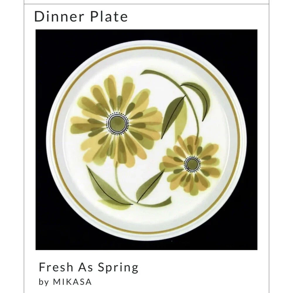 RARE Vintage Mikasa Light N Lively Fresh As Spring Chop Plate Japan D5353 Daisy